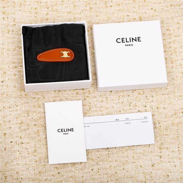 2024210155817776 100